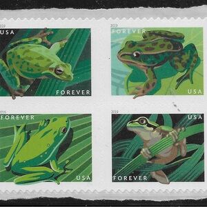 Green Frog Postage Stamps